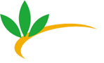 Thái Dương Health